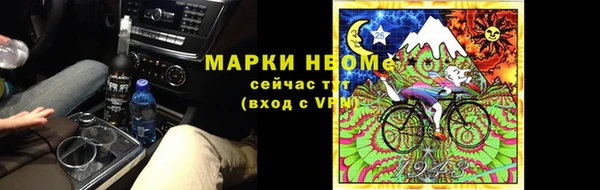 шишки Краснослободск