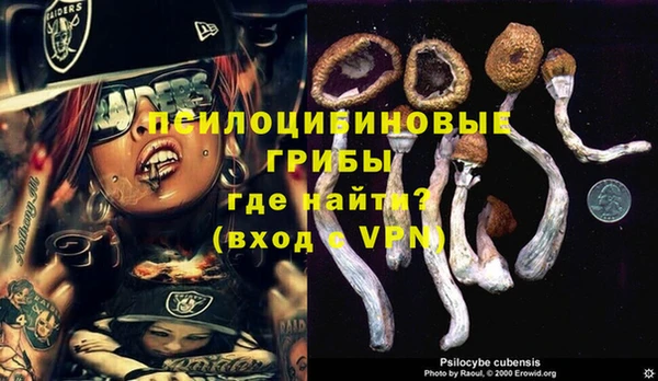 марки lsd Щигры