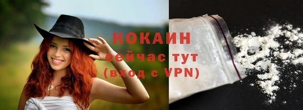 прущие грибы Абаза