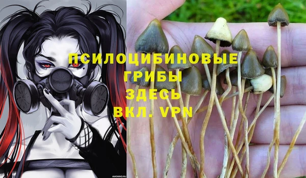 бошки Алексин