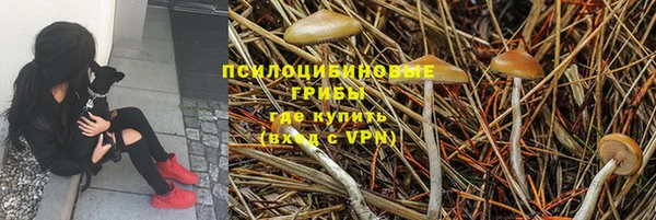 бошки Алексин