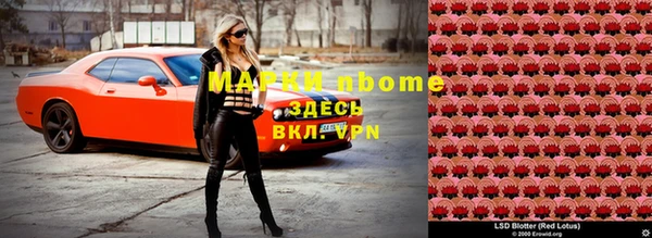 прущие грибы Абаза