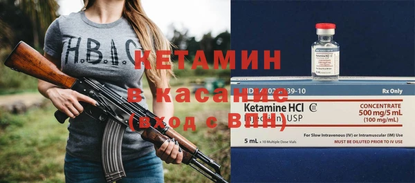 прущие грибы Абаза