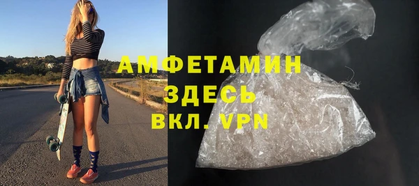 шишки Краснослободск