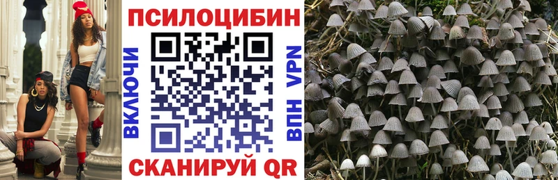 ссылка на мегу ONION  Энгельс  Псилоцибиновые грибы MAGIC MUSHROOMS  закладка 
